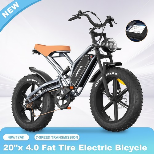Bicicletta elettrica fat - elettrica,
