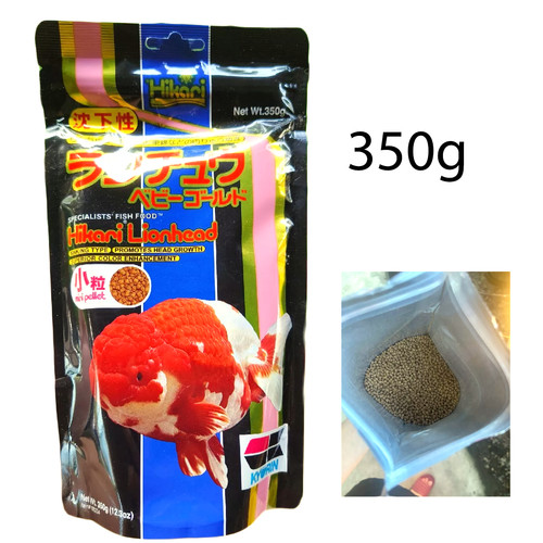350g hikari testa leone - testa, di