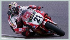  TROY BAYLISS stampa su tela