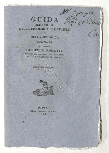 Moretti guida studio - guida,