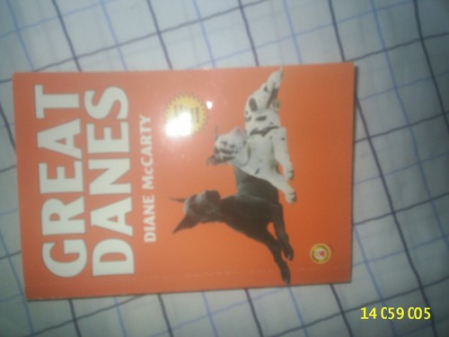 Great danes mccarty - -, mccarty,