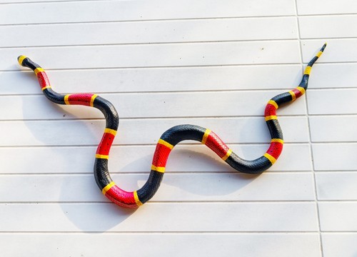 Serpente gomma scherzo fake - gomma,