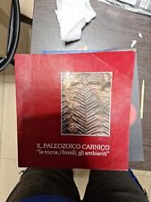 Il paleozoico carnico le rocce i fossili gli ambienti