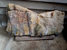 Legno Fossile Pietrificato ,legno Silicizzato Foresta Fossile,Opale Xiloide.