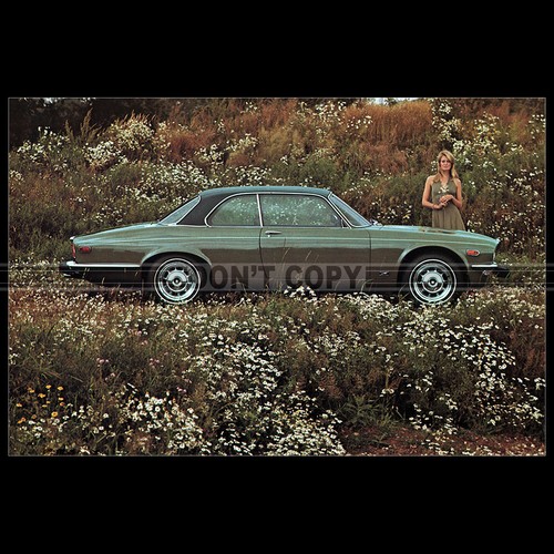 Photo 010144 jaguar xj12c - jaguar,