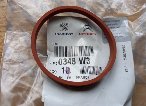 Guarnizione collettore - guarnizione,