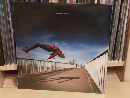 Porcupine tree coma coda - porcupine,