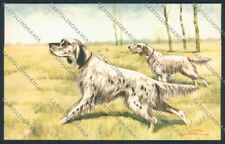 Setter dog Caccia Norfini postcard cartolina RB4387