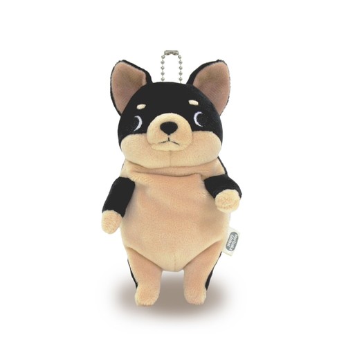 Mochi series - mochi, chihuahua