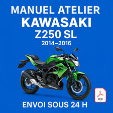 Manuel Atelier Kawasaki Z250