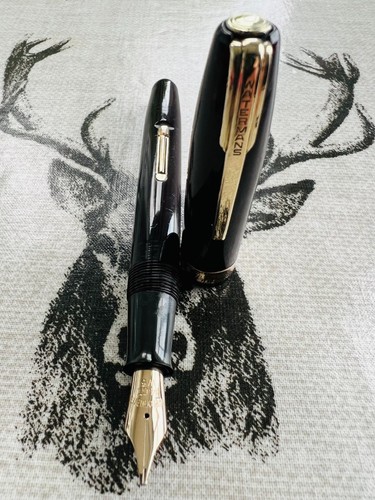 Waterman fountain pen - fountain,