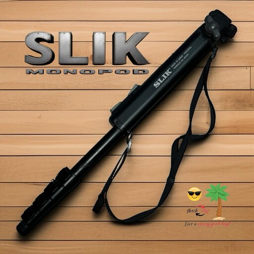 Slik 4337 monopiede - 4337, in