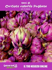25 Semi di 🌸 Carciofo