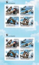 BATELEUR EAGLE WWF Uccellini
