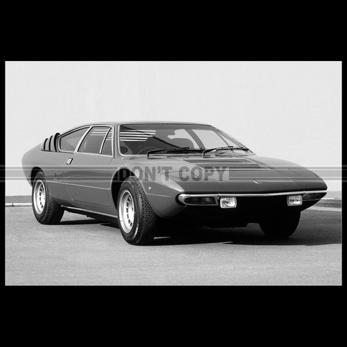 Photo 036448 lamborghini - photo,