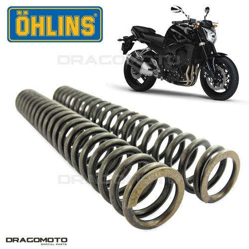 Yamaha fz1 2006 2009 - fz1, molle