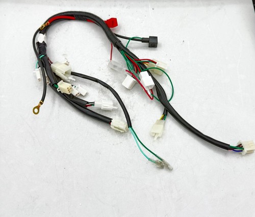 Impianto elettrico mini - elettrico,