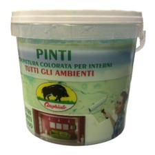 CINGHIALE - IDROPITTURA PRONTA