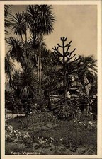 Ticino Canton Ticino Svizzera