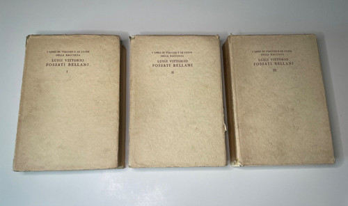 Libri viaggio le guide - libri,