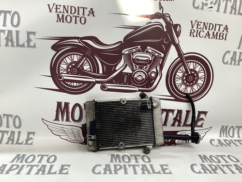 Radiatore acqua honda 300 - acqua,