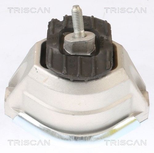 Supporto motore triscan - motore,