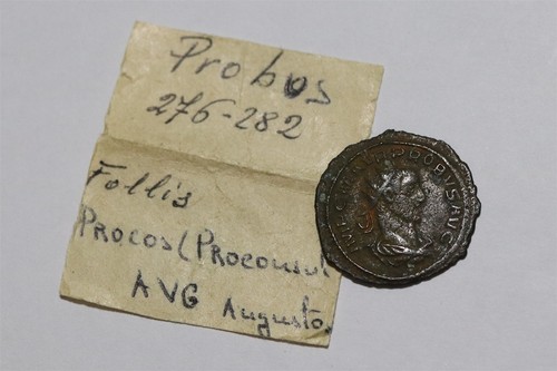 Antico probus - 🧭,