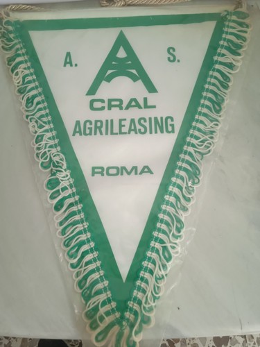 Gagliardetto pallamano
