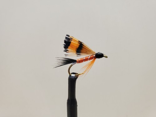Mosche pesca fagiano dorato - mosche, da