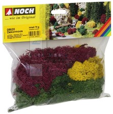 NOCH 08620 - Licheni colori