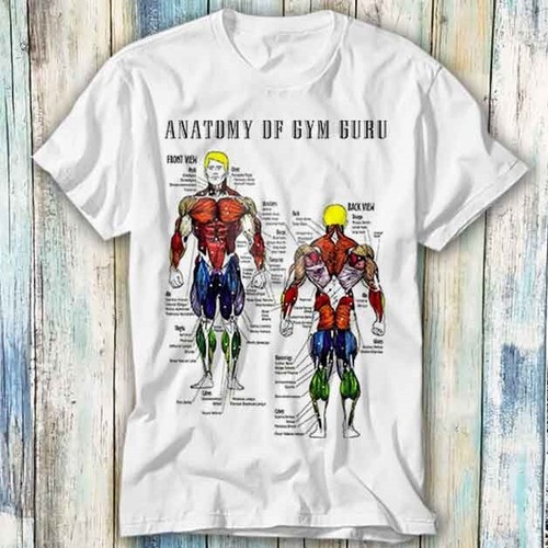 Shirt anatomy gym - t-shirt,