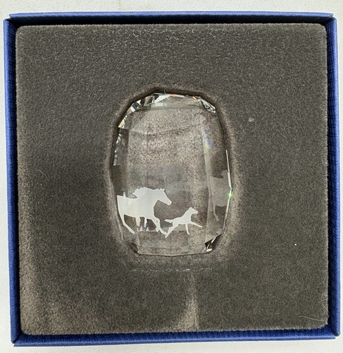 Swarovski crystal scs rinnovo - swarovski,