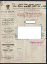 111 JESI (ANCONA)  CAV. GEOM. MANLIO MATTIOLI descritta nel  mod. personalizzato