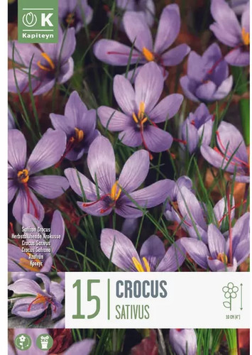 Bulbi crocus sativus - bulbi, di