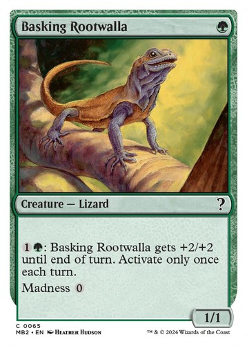 Basking rootwalla bordo - basking,