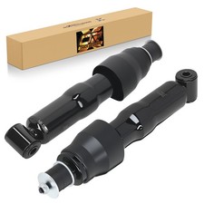 Set 2 ammortizzatori anteriori