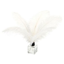 100Pcs Natural Ostrich Feather