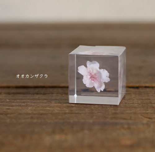 Fermacarte sola cube sakura - sola,