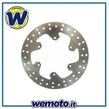 Disco Freno Posteriore per