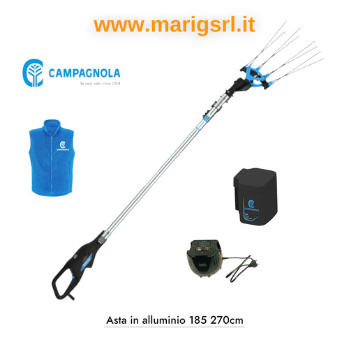 Abbacchiatore olive campagnola - abbacchiatore,