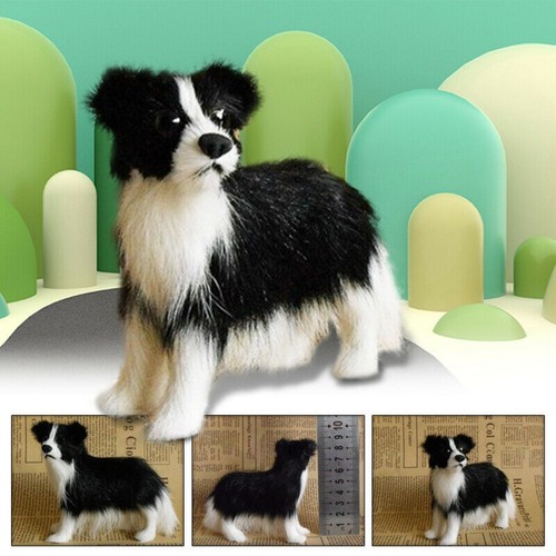 Peluche border collie - border,