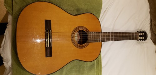 Washburn c40 classical - washburn,