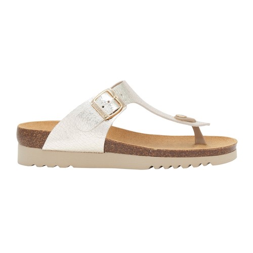 Scholl boa vista up - scholl,