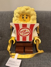 Lego Legoland NY Costume