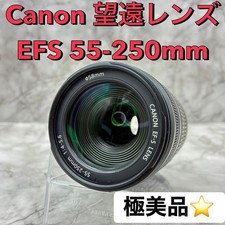 Obiettivo Canon EFS 55-250mm