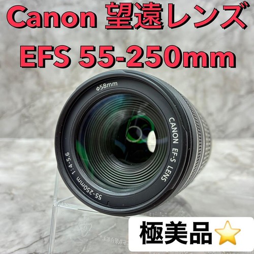 Obiettivo canon efs 250mm - canon, 55-250mm