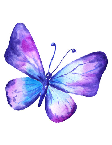 Adesivi auto sticker - 5,