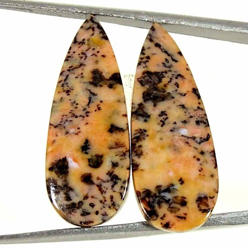Coppia cabochon agata - coppia,