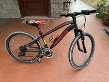 mtb 24 pollici Lombardo Tropea