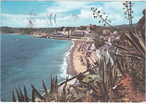 Celle ligure savona una - savona,